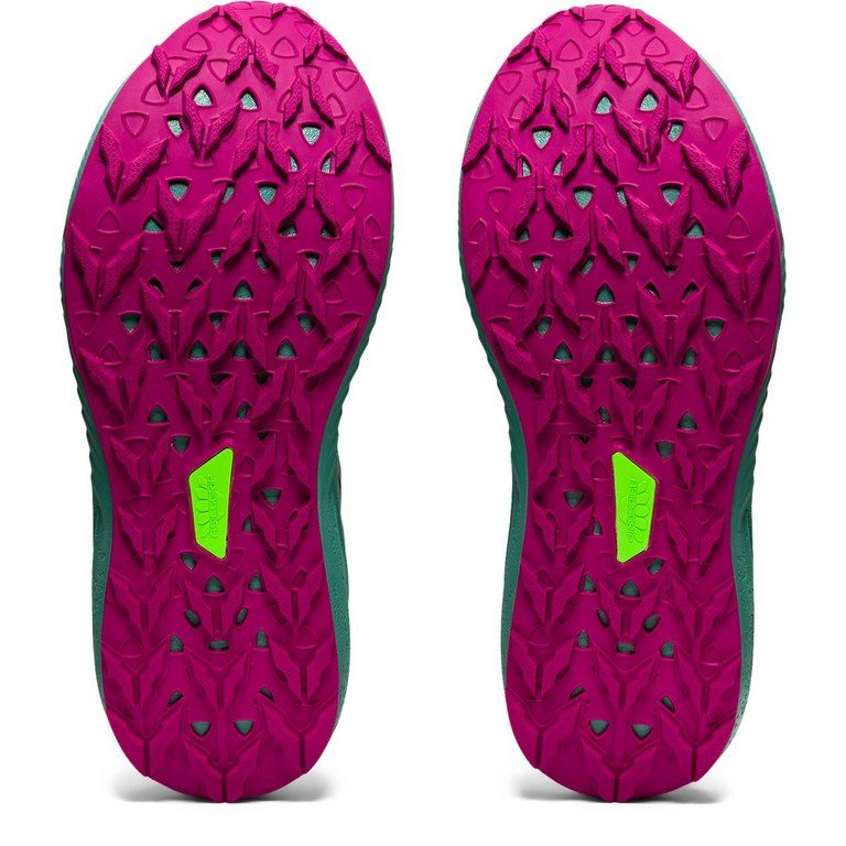ASICS FUJI LITE 2 Lady (Kopie)