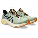 ASICS GT-2000 12 TR Men