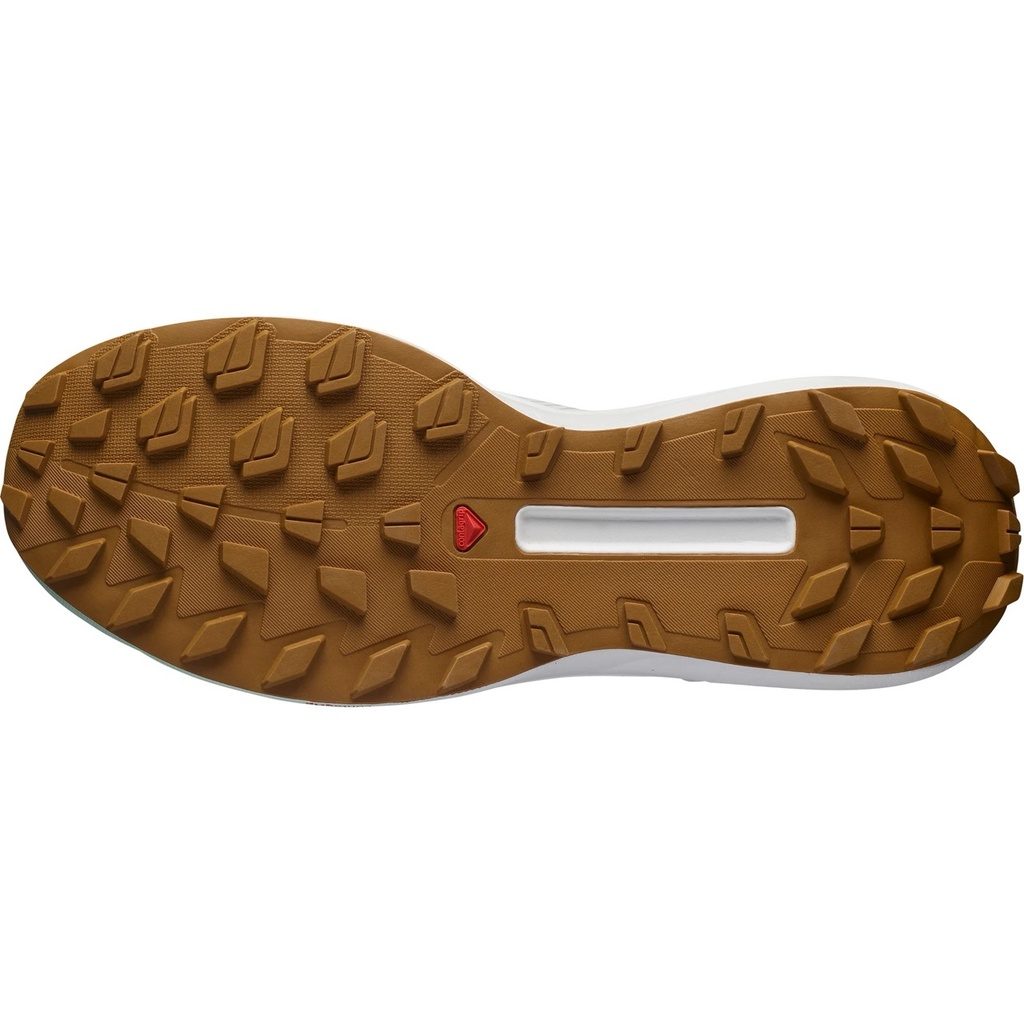 Salomon S/LAB Genesis LTD Courtney | Unisex Laufschuh