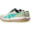 ASICS FujiSpeed 4 | Unisex-Laufschuh