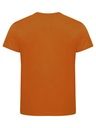 029364-175_Classic_OC-T_Back.jpg