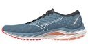 Mizuno Wave Inspire 19 Men